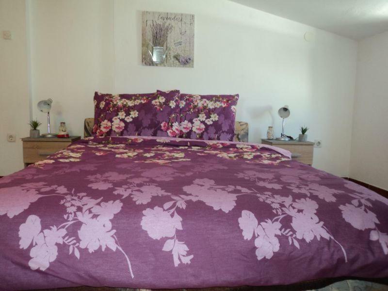 Studio Apartments Ana Rovinj Bagian luar foto