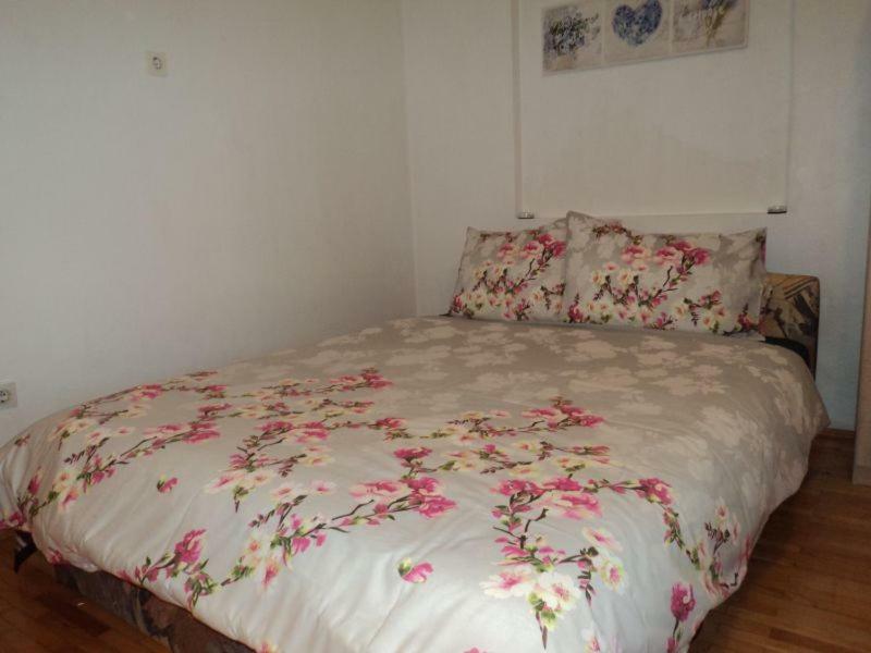 Studio Apartments Ana Rovinj Bagian luar foto